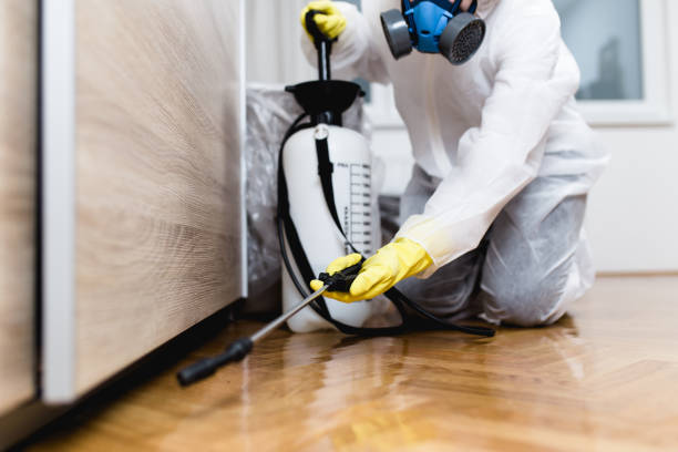 Best Best Pest Control Companies  in Littleton, CO