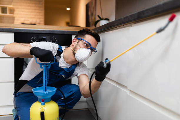 Best Pest Inspection Near Me  in Littleton, CO