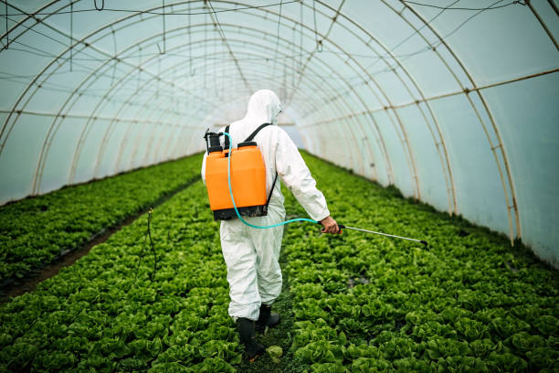Best Pest Control Treatment  in Littleton, CO