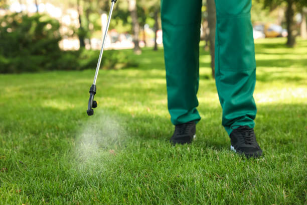 Best Pest Control Near Me  in Littleton, CO