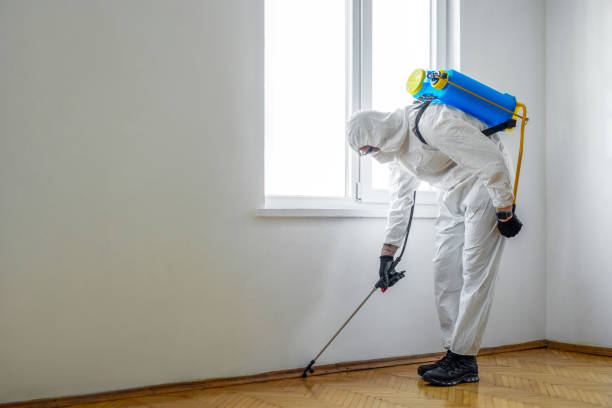 Best Best Pest Control Companies  in Littleton, CO