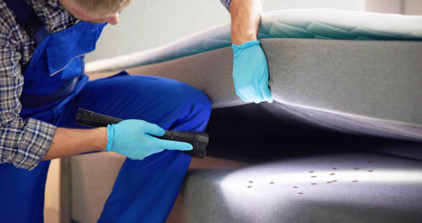 Best Best Pest Control Companies  in Littleton, CO