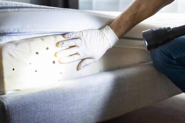 Best Commercial Pest Control Services  in Littleton, CO