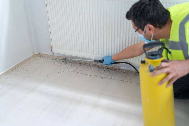 Best Local Pest Control Services  in Littleton, CO