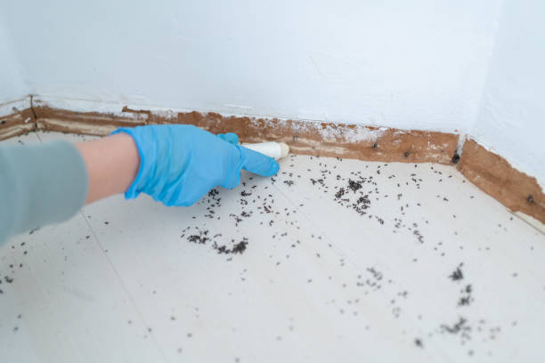 Best Pest Prevention Services  in Littleton, CO